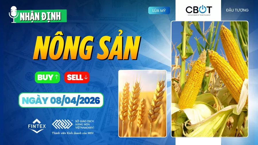 NHẬN ĐỊNH THỊ TRƯỜNG NÔNG SẢN NGÀY 08/04/2026